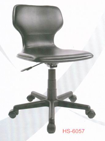 小薇人體工學椅,電腦椅,讀書椅,化妝椅 HS6057
